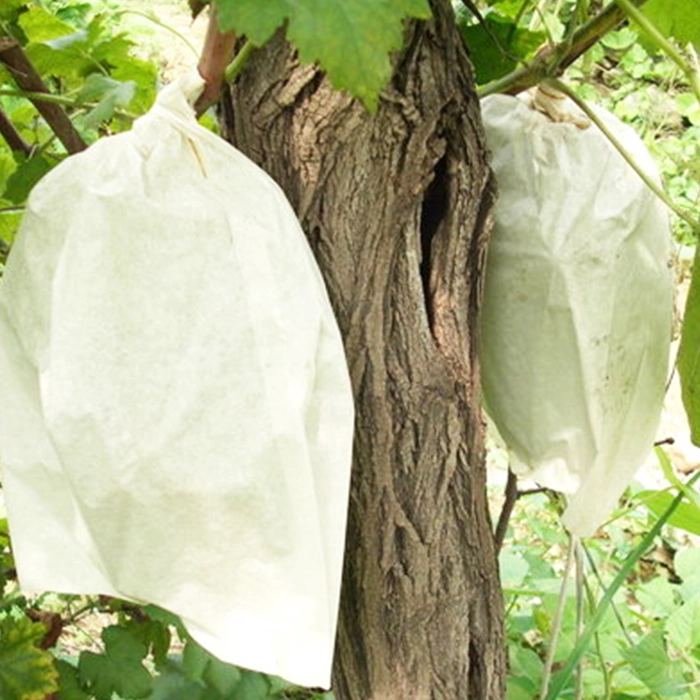 Grape Growing Bags Factory, Reusable Non Woven Fabric Grape Growing Bags, Grape Growing Bags Vendor In China