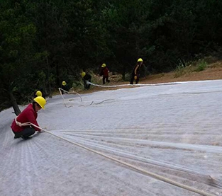 Agriculture Mat On Sales, Agriculture Nonwoven Cover Factory, Agricultural Ground Cover Manufacturer
