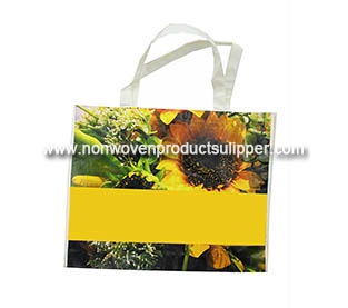 China Polypropylene Non Woven Company, Printed Non Woven Fabric Manufacturer, PP Non Woven Materials Wholesale