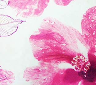Decoration Materials Wholesale, Printed Non-woven Fabric On Sales, Non Woven Fabric Factory