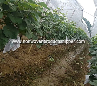  Agricultural Nonwovens On Sales, Polypropylene Non Woven Vendor,  Spunbond Non Woven Fabric Factory