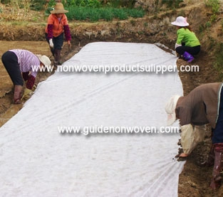 porcelana Buen efecto de aislamiento de las telas no tejidas agrícolas fabricante