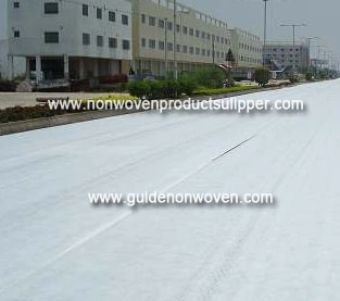 porcelana Geotextil de Guangdong - Mantenimiento de carreteras fabricante