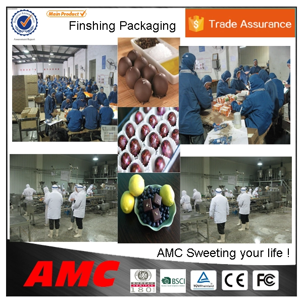 High quality stainless steel chocolate depositing machine with best price