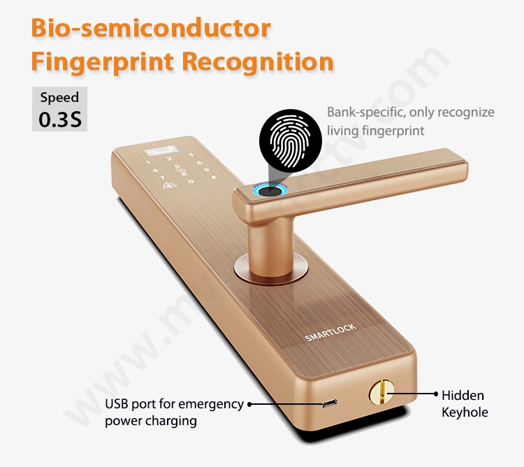 Advanced Home Security Locks Fingerprint Smart Door Lock with Doorbell and Anti-theft Alarm