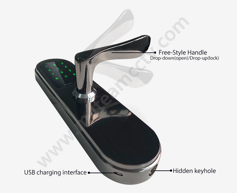 Smart Door Lock System Keyless Digit NFC WiFi APP Bluetooth Door Lock For Home Apart Hotel