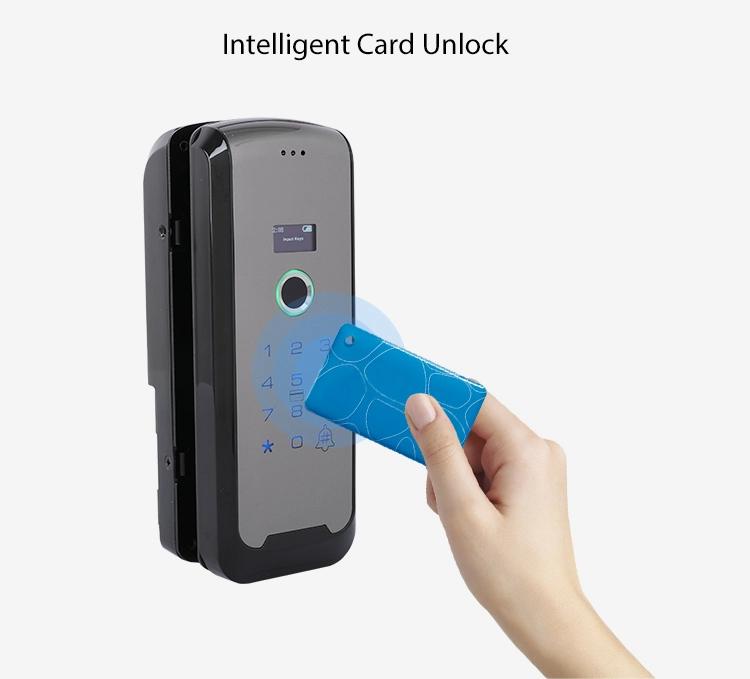 Fingerprint Smart Glass Door Lock Swipe Card Digital Biometric Frameless Glass Door Electric Bolt Lock For Office, Store, House