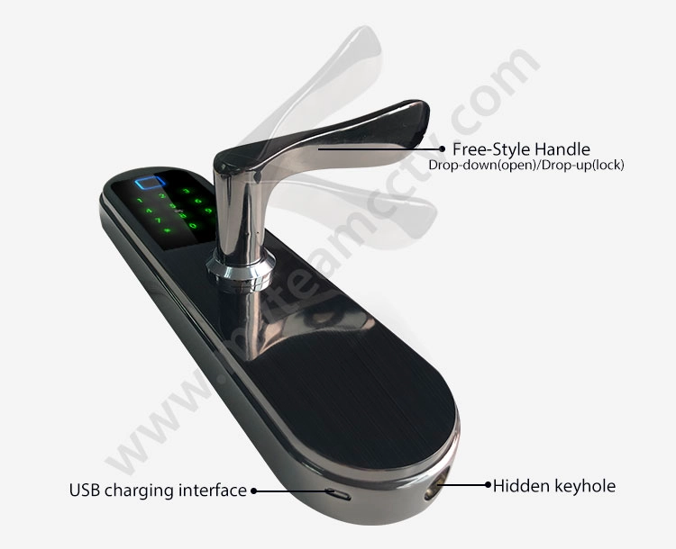 Wholesale Price Biometric Door Lock Keyless Security Smart Fingerprint Lock For Home, Office, Hotel, House