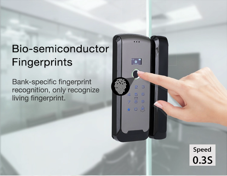 Fingerprint Smart Glass Door Lock Swipe Card Digital Biometric Frameless Glass Door Electric Bolt Lock For Office, Store, House