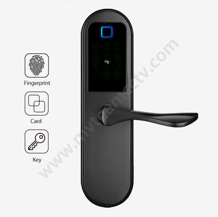 Electronic Key Free Bedroom Handle Lock Fingerprint Bio Intelligent Digital Door Locks For Wooden, Metal, Composite Doors