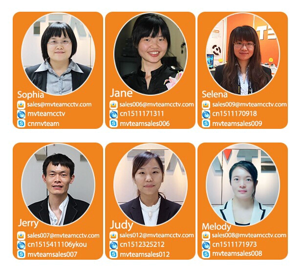 contact mvteam sales