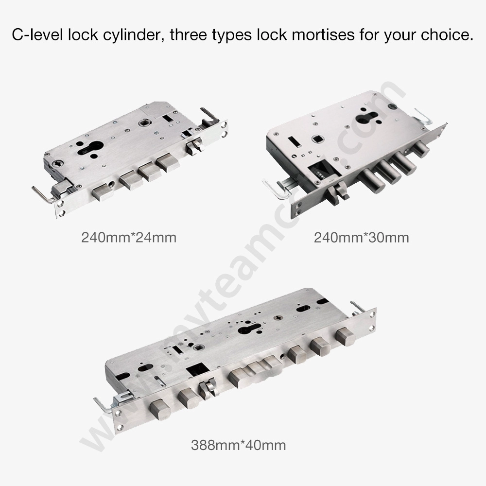 Digital Door Lock Biometric Fingerprint Card Password Keyless Smart Home Door Locks