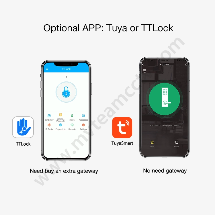 High Security Anti Theft Smart Lock Door Thumbprint Biometric Intelligent Electronic Fingerprint WiFi TTLock Tuya Door Lock