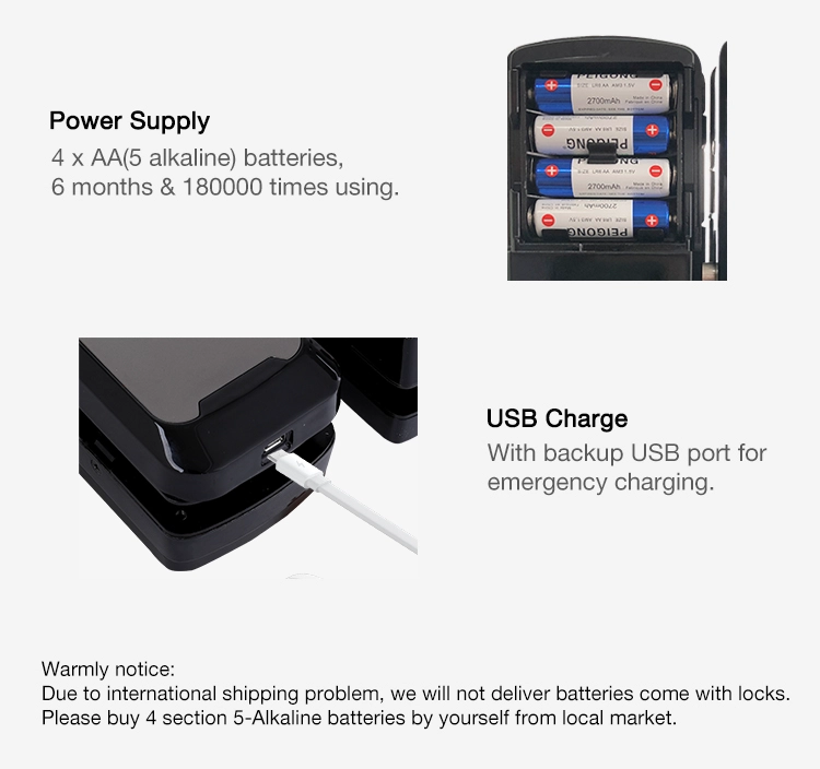 Fingerprint Smart Glass Door Lock Swipe Card Digital Biometric Frameless Glass Door Electric Bolt Lock For Office, Store, House