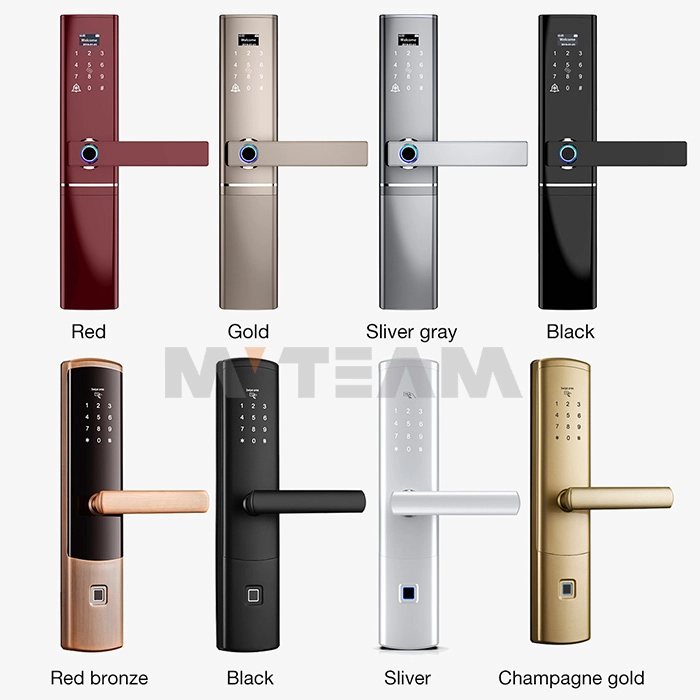  How to Choose a Suitable Smart Door Lock color