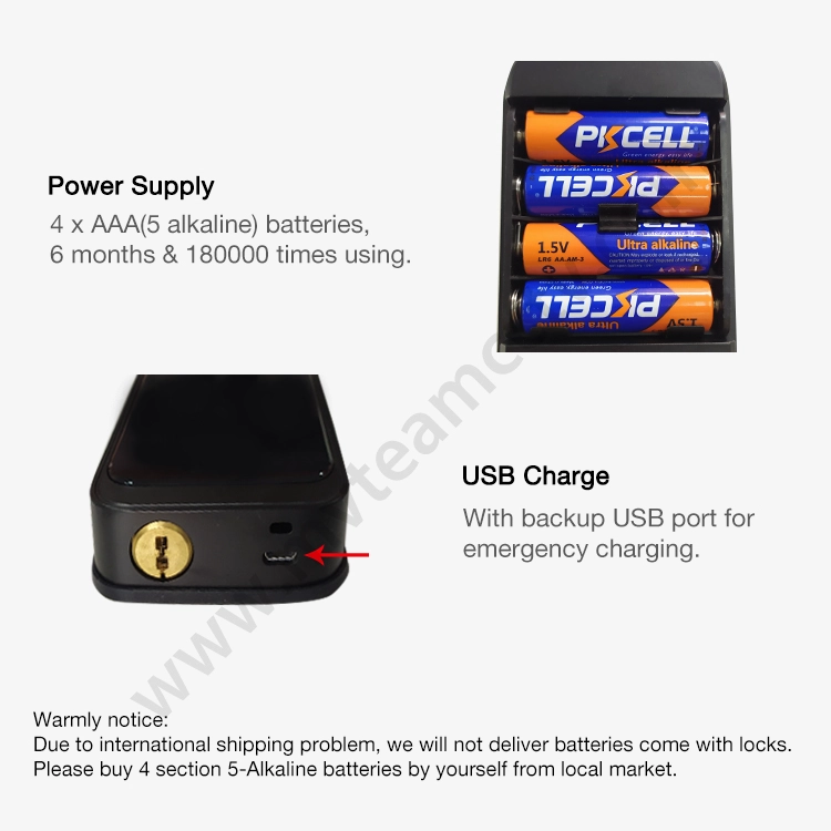 High Security Anti Theft Smart Lock Door Thumbprint Biometric Intelligent Electronic Fingerprint WiFi TTLock Tuya Door Lock