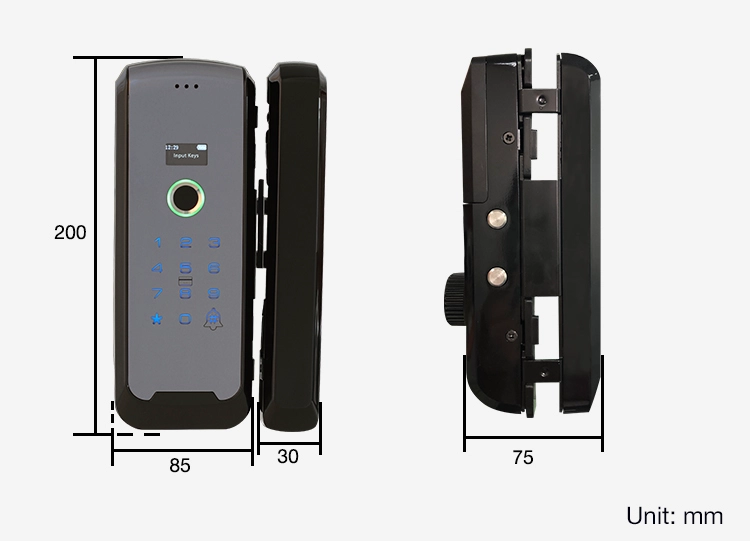 Fingerprint Smart Glass Door Lock Swipe Card Digital Biometric Frameless Glass Door Electric Bolt Lock For Office, Store, House