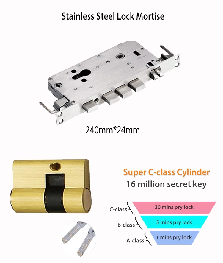 Economical and Durable Fingerprint Smart Door Lock with C level cylinder and Stainless Steel Lock Mortise For Home, Office, Apartment