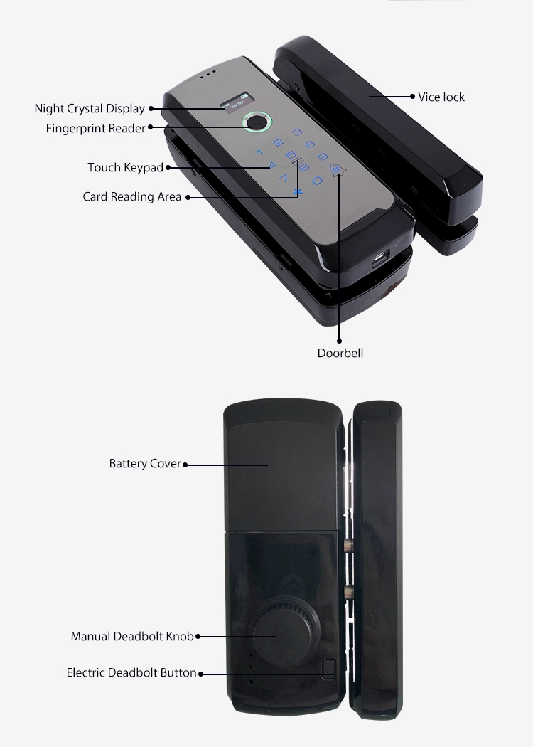 Fingerprint Smart Glass Door Lock Swipe Card Digital Biometric Frameless Glass Door Electric Bolt Lock For Office, Store, House