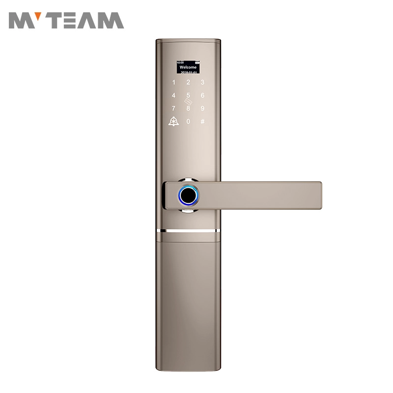 Serratura per porta Made in China Serratura per Smart Door protetta da password
