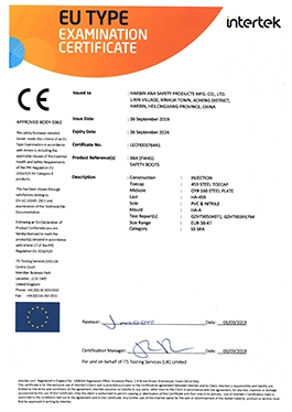 Certificazione
