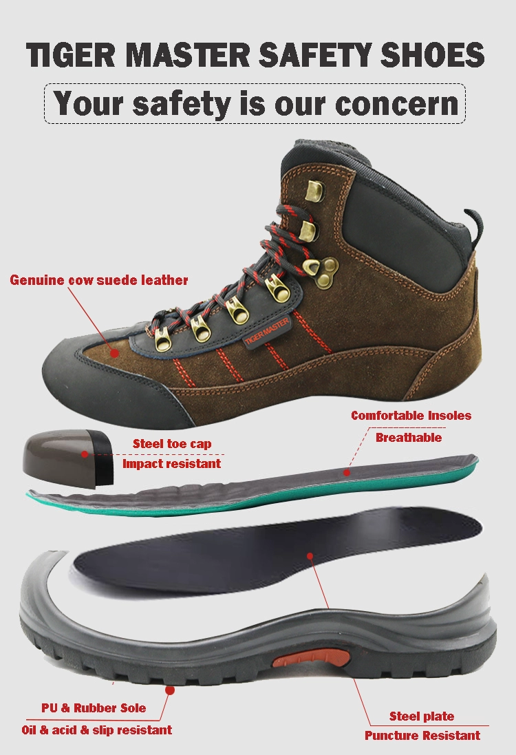 China TM101 Heat resistant oil acid proof steel toe anti puncture sport type safety shoes manufacturer