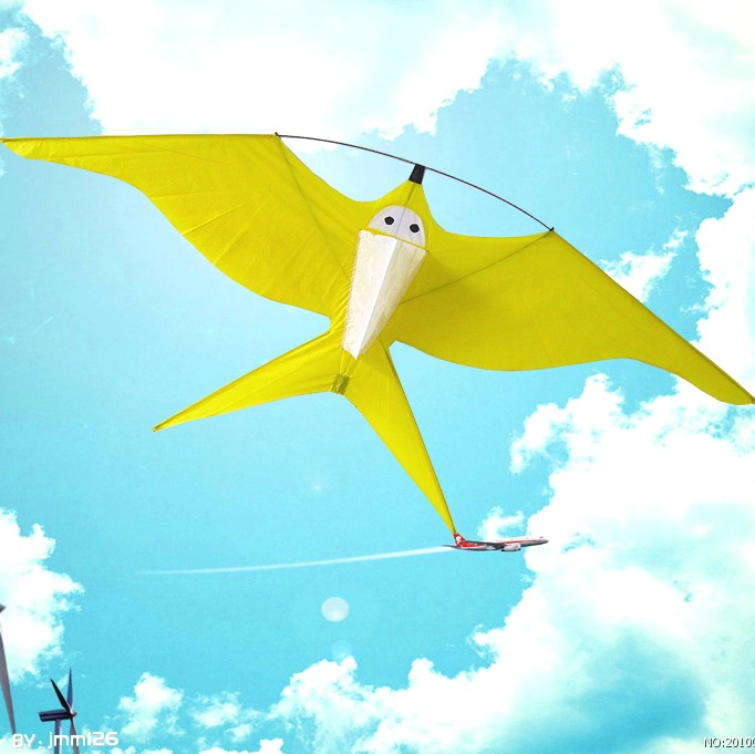 Ripstop nylon fabric swallow bird kite for children