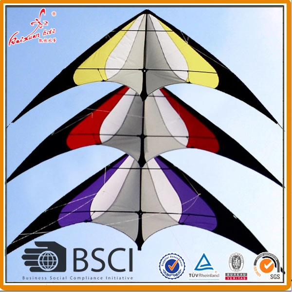 Venda por atacado kite stunt de Weifang kite Factory