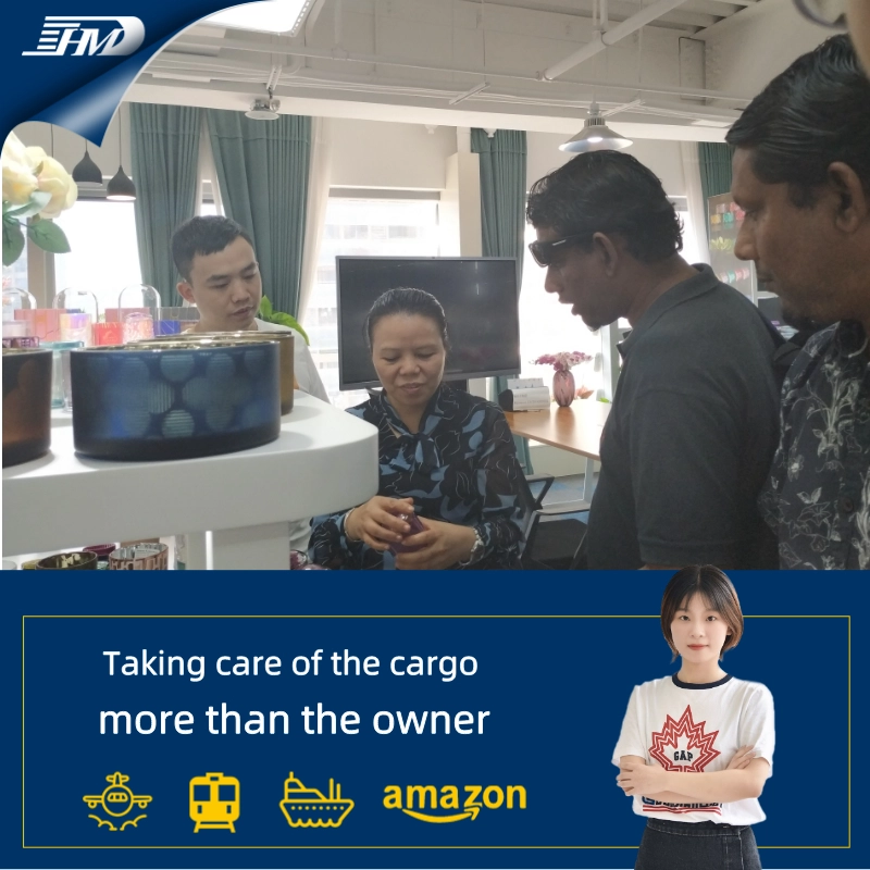 Servizio di logistica del trasporto marittimo DDP da Guangzhou Ningbo a Singapore