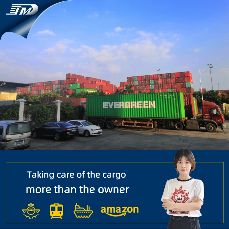 Servizio di logistica del trasporto marittimo DDP da Guangzhou Ningbo a Singapore