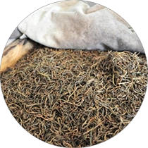 Çin Çay fermentasiya maşını istehsalçı