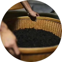 Çin Çay Qurutma Maşın istehsalçı