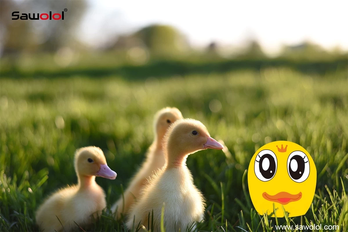 Mini auricolari wireless per animali, crea la tua festa uditiva personalizzata!