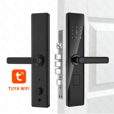 porcelana Aisuo-manija de reconocimiento facial, cerradura inteligente electrónica magnética de seguridad con huella dactilar, sin llave, Ttlock, Tuya, Digital, para puerta fabricante