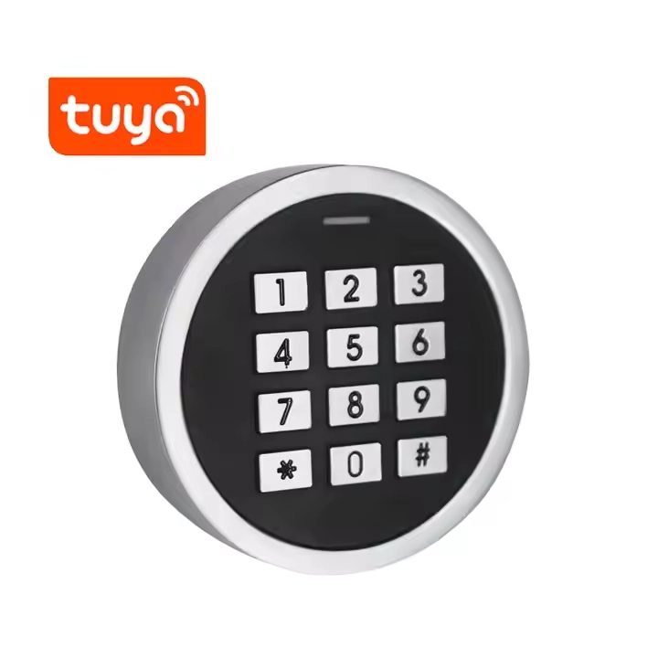 China Tuya Phone App Smart Fernbedienung 125kHz EM -Karte RFID Reader wasserdichtes eigenständiges Türstor -Zugangskontrollsystem Hersteller