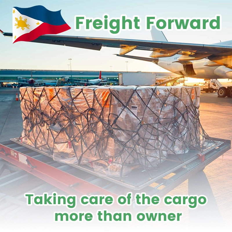 Freight Forwarder Sea and Air Cargo DDU DAP shipping door to door service to USA Freight Forwarder Sea and Air Cargo DDU DAP shipping door to door service to USA