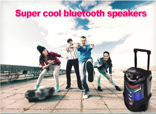 Entfesseln Sie Ihren inneren Superstar mit dem Outdoor-Trolley-Lautsprecher mit Karaoke-Funktion
