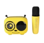 Elevate Your Retail Sales with the Cartoon Microphone Speaker