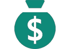 Cost-Efficient Solutions