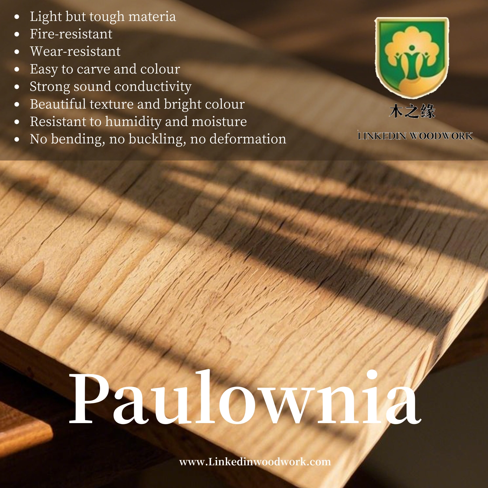 We explore the potential of paulownia wood and lead the way to a new direction of diversified applications.