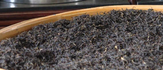 Çay Fermantasyonu Nedir?