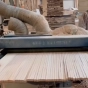 Automatic cutting machine
