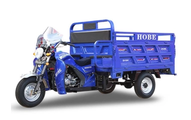 Ly-Hobe Motorized Triocle