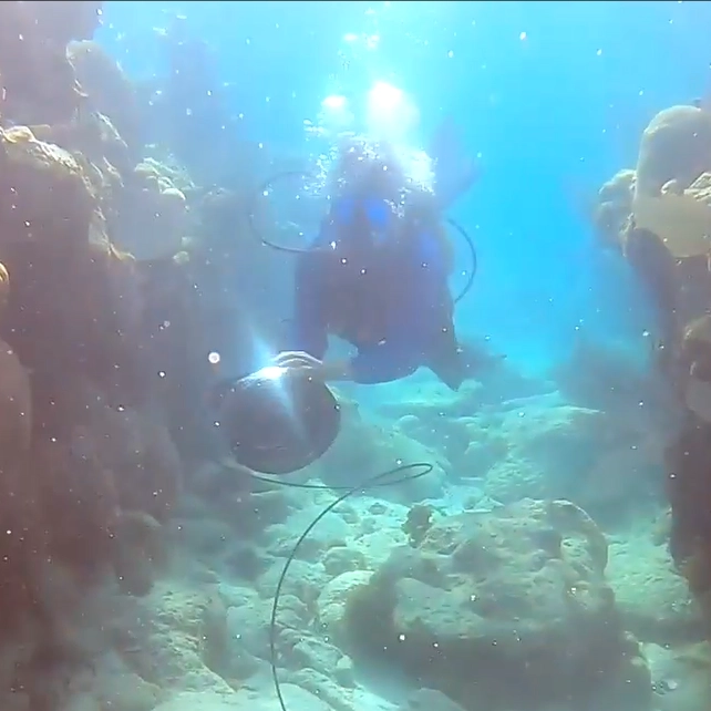 Mini Live Sea Aquarium Cams