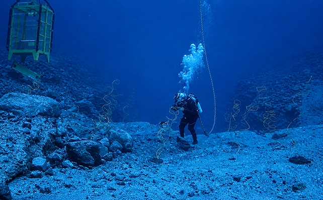 HD PTZ Subsea IP Camera