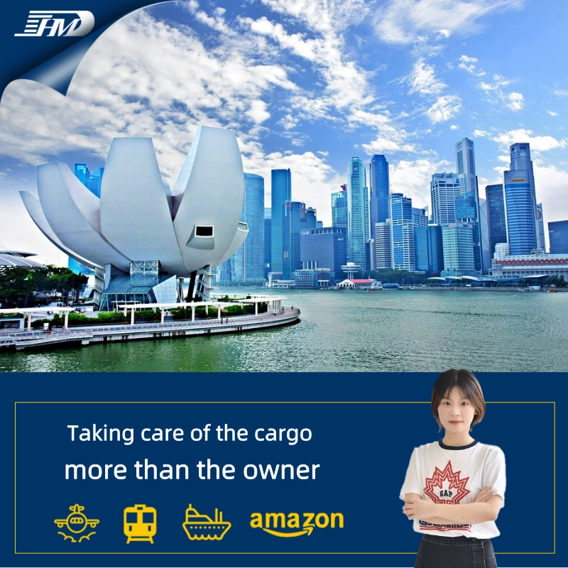 Freight Forwarder Door to Door Freight Forwarder FCL LCL to Europe Logistics Sea Freight Forwarder to USA