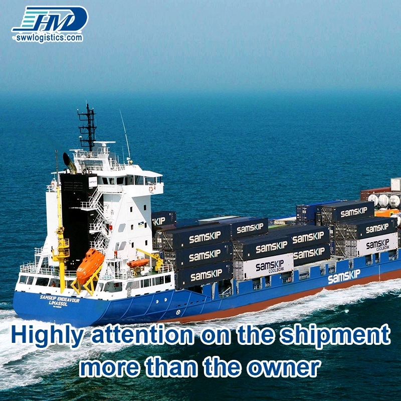 Sea transport 20ft shipping container China to Sweden freight forwarder, Sunny Worldwide Logistics