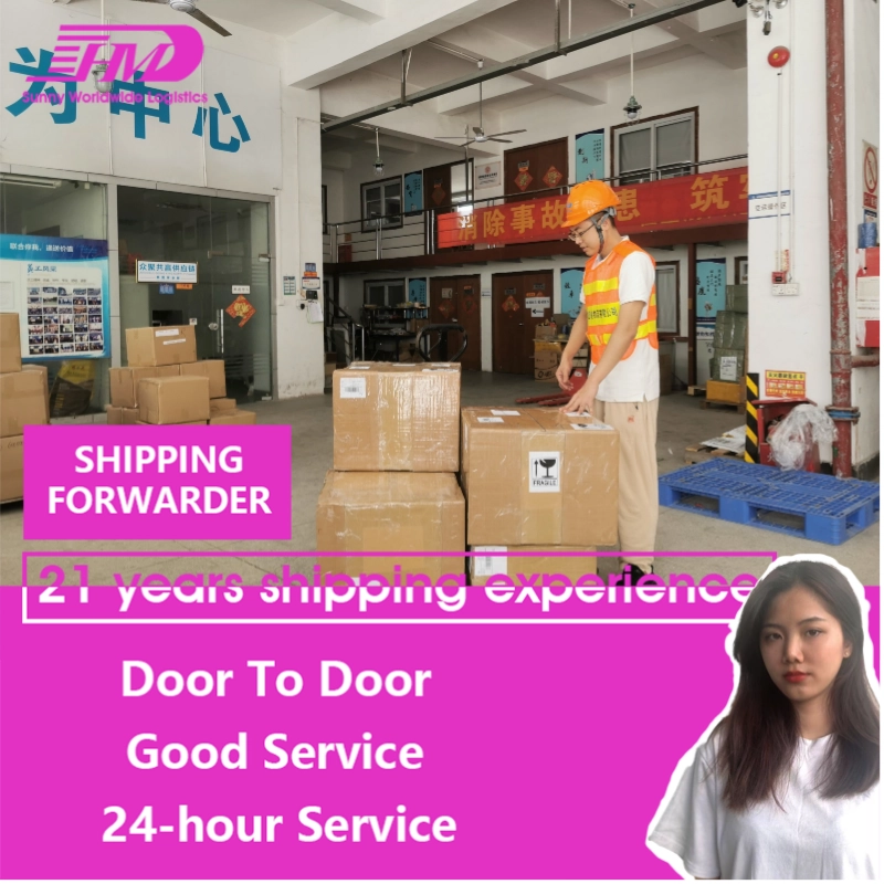 Cheap sea freight door to door shipping service from China to Jamaica