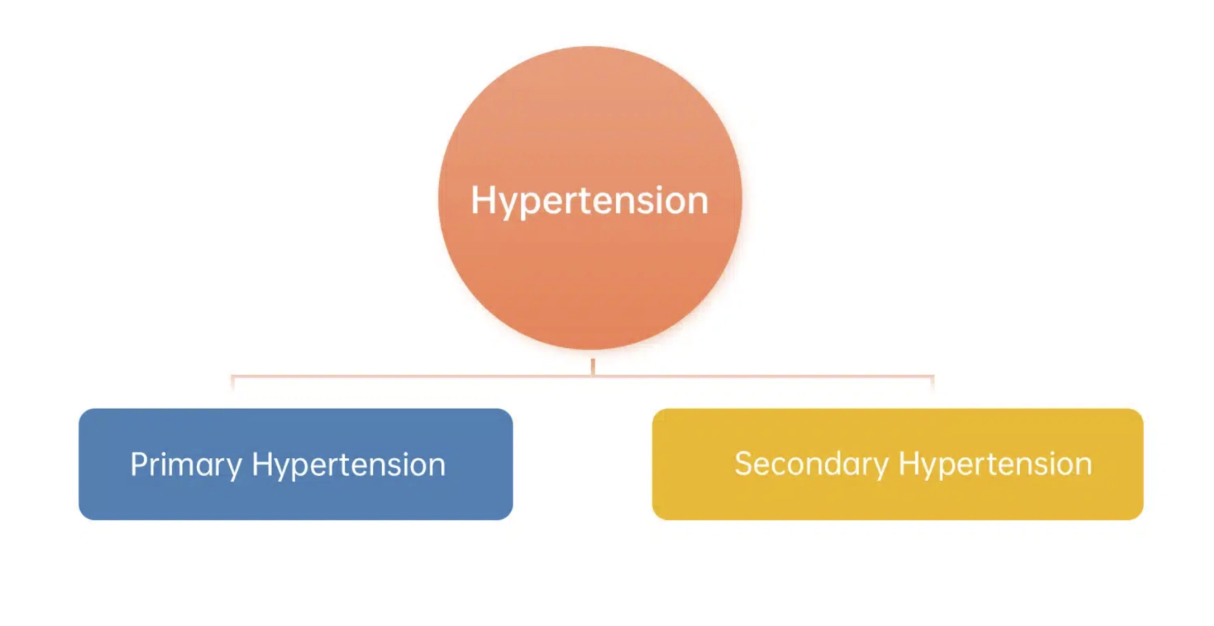 effects of high blood pressure,effects of hypertension,effects of bp,High blood pressure, hypertension, What are the effects of having high blood pressure