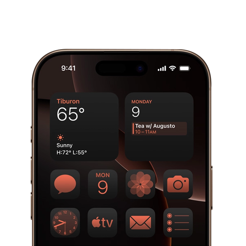 Toptan iPhone 16 Pro Max